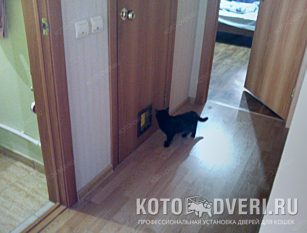 Дверцы для кошек с установкой в Екатеринбурге.